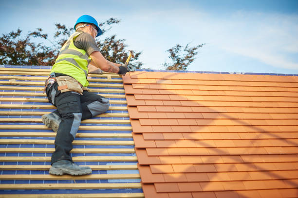 Best Roof Ventilation Installation  in Lockhart, TX